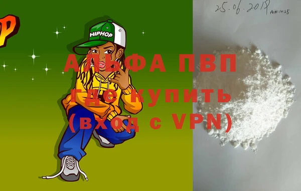 шишки Осинники
