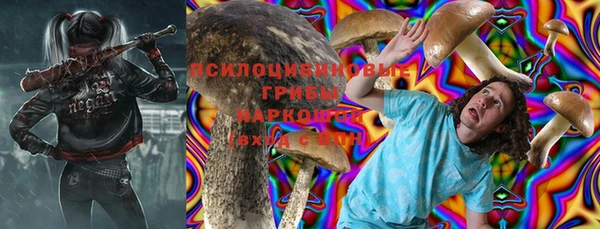 шишки Осинники