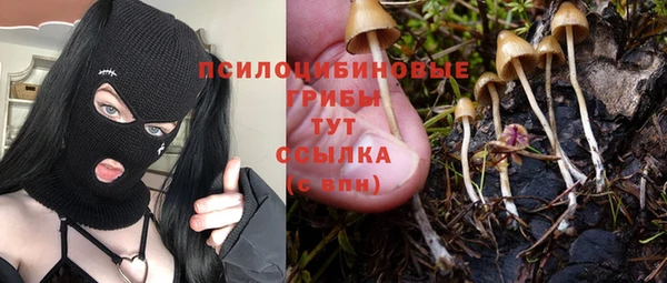 a pvp Няндома