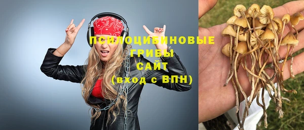 гидропоника Нягань