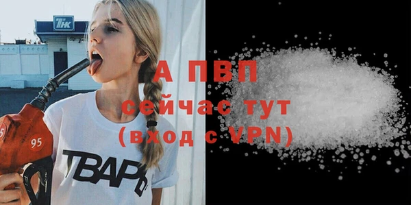 шишки Осинники